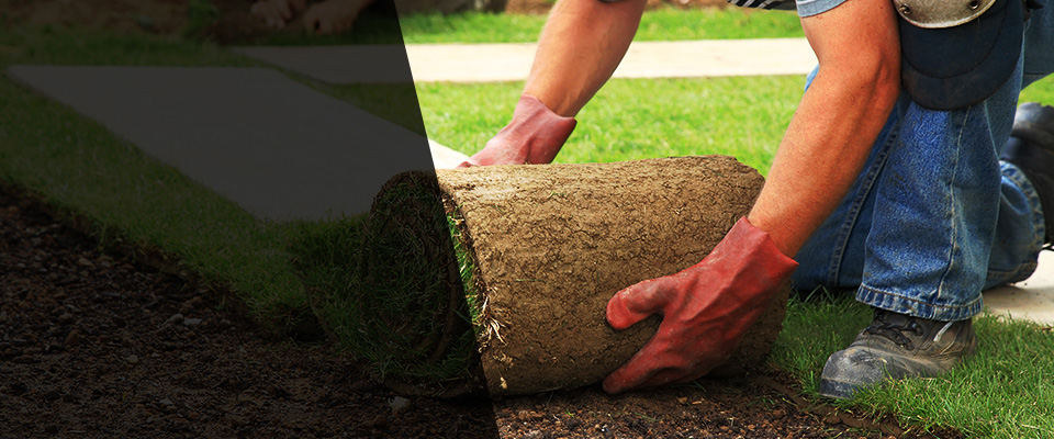 Hines Landscapers